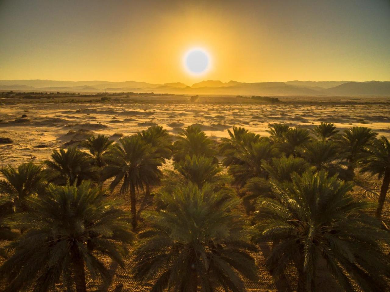 Lotan Desert Travel Hotel Nahal Ya'alon Dış mekan fotoğraf
