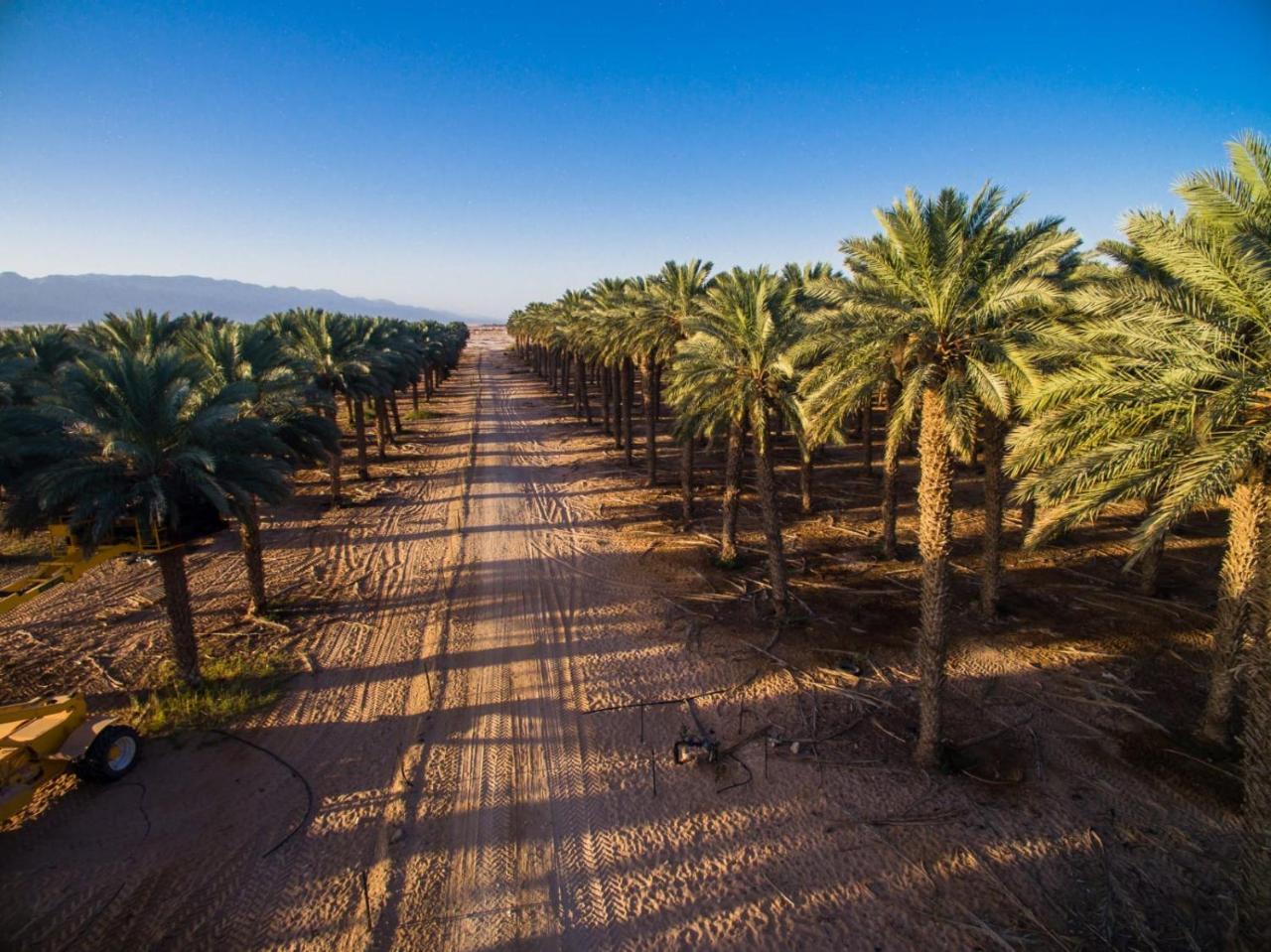 Lotan Desert Travel Hotel Nahal Ya'alon Dış mekan fotoğraf